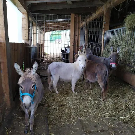 Nyaraló Waldhuette Am Eselhof