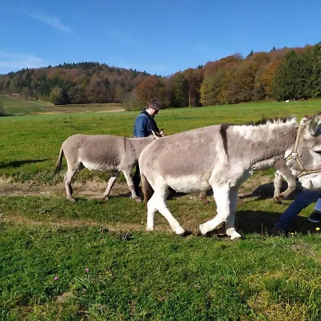 Waldhuette Am Eselhof Nyaraló Schöllnach