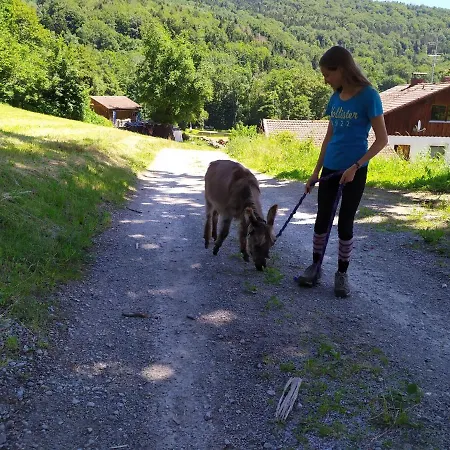 Nyaraló Waldhuette Am Eselhof *